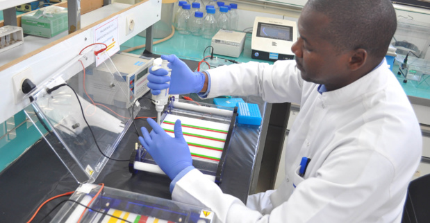 Santé : Le Sénégal abrite un sommet sur les politiques d’innovations technologiques Santé : Le Sénégal abrite un sommet sur les politiques d’innovations technologiques