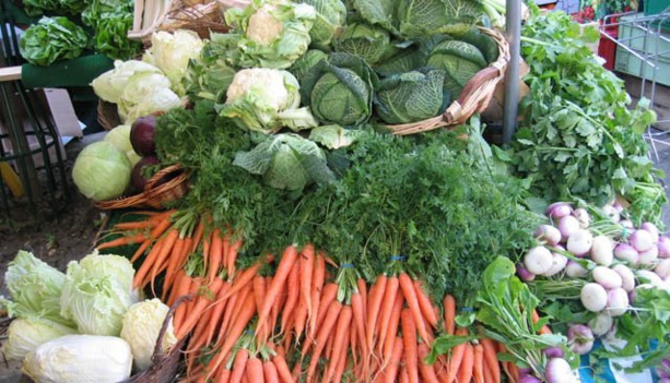 Agriculture: L’horticulture serait l’avenir de l’agriculture sénégalaise, selon la Banque Mondiale