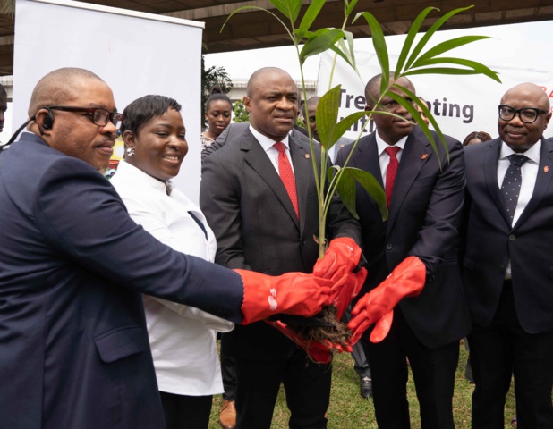 Protection de l’environnement, révolution verte : La fondation Uba lance une campagne de plantation d’arbres