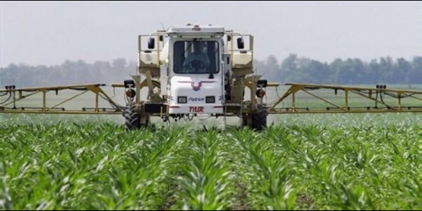 Afrique: Modernisation de l'agriculture africaine