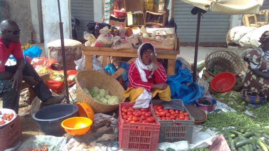 Sénégal : Hausse des prix des produits alimentaires au quatrième trimestre 2014