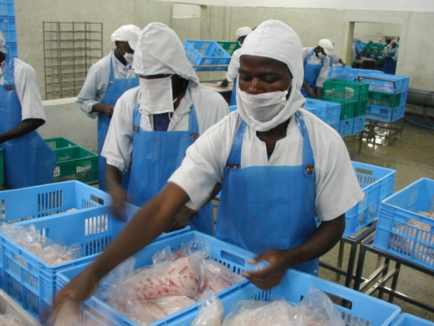 ASSURANCE-CAUTION : Un marché prometteur au Sénégal