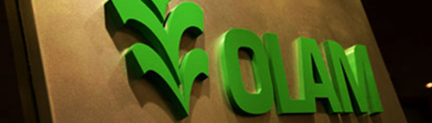 Olam prédit un déficit mondial de cacao cette saison en raison de la contre-performance ghanéenne Olam prédit un déficit mondial de cacao cette saison en raison de la contre-performance ghanéenne