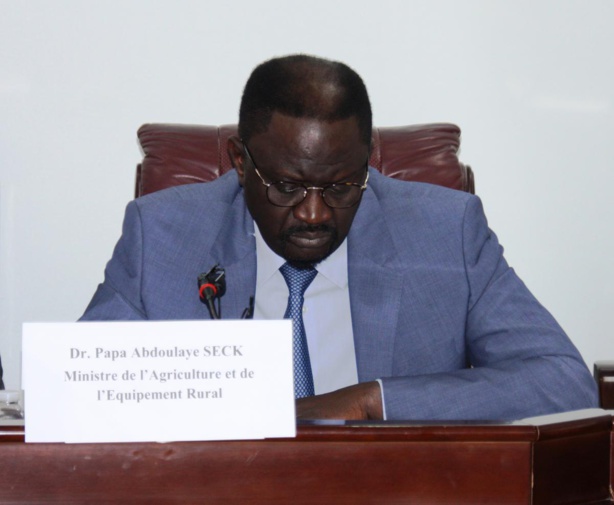 Papa Abdoulaye Seck, ministre de l`agriculture Papa Abdoulaye Seck, ministre de l`agriculture