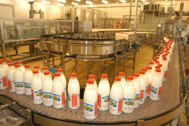 Mauritanie, financement Exim Bank India d’une laiterie ultra moderne à Néma Mauritanie, financement Exim Bank India d’une laiterie ultra moderne à Néma