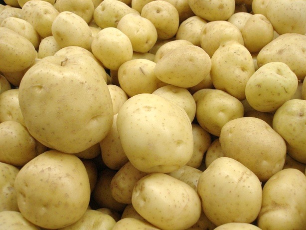Sénégal: Plus de 50.000 tonnes de pomme de terre attendues pour 2015