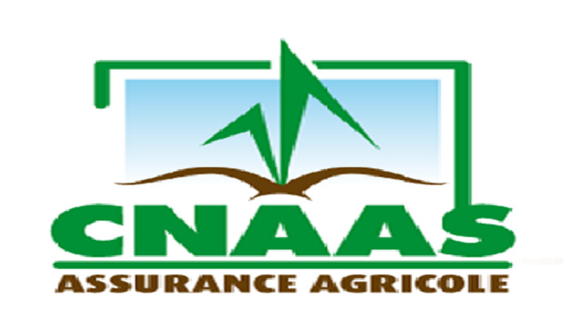 Produits d’assurance associés aux risques naturels : 39 milliards de FCFA de capital assuré par la Cnaas en 2022 Produits d’assurance associés aux risques naturels : 39 milliards de FCFA de capital assuré par la Cnaas en 2022