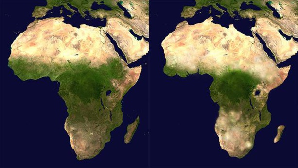 Environnement : Dans mille ans, à quoi ressemblera la carte de l’Afrique ? Environnement : Dans mille ans, à quoi ressemblera la carte de l’Afrique ?