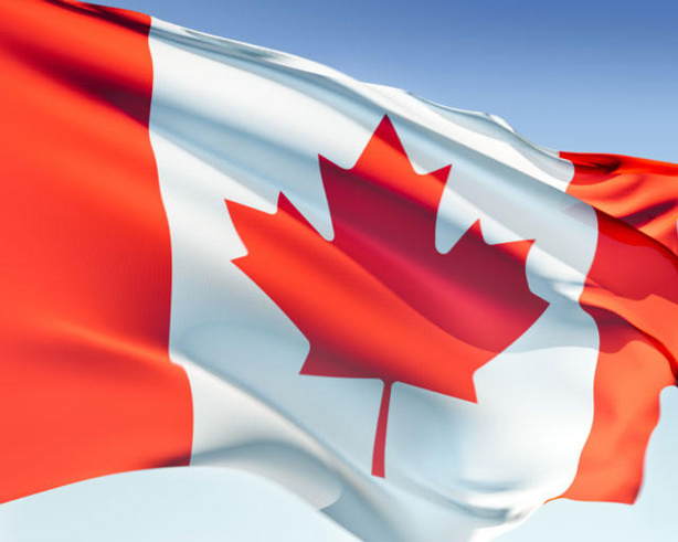 Exportation : Le Canada ouvre ses portes au Sénégal