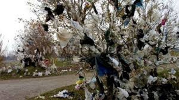 Sénégal : L’Assemblée Nationale adopte la loi interdisant les sachets plastiques de faible micronnage