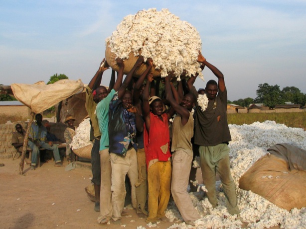 Le développement financé par les migrants Le développement financé par les migrants