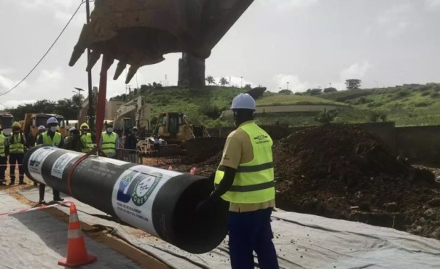 Sénégal: Luzerne - Cette culture fourragère qui menace l'approvisionnement en eau potable de Dakar Sénégal: Luzerne - Cette culture fourragère qui menace l'approvisionnement en eau potable de Dakar