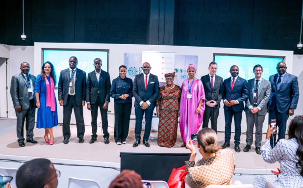 Financement de jeunes entrepreneurs africains dans le secteur vert : La Fondation Tony Elumelu mobilise des dirigeants mondiaux Financement de jeunes entrepreneurs africains dans le secteur vert : La Fondation Tony Elumelu mobilise des dirigeants mondiaux