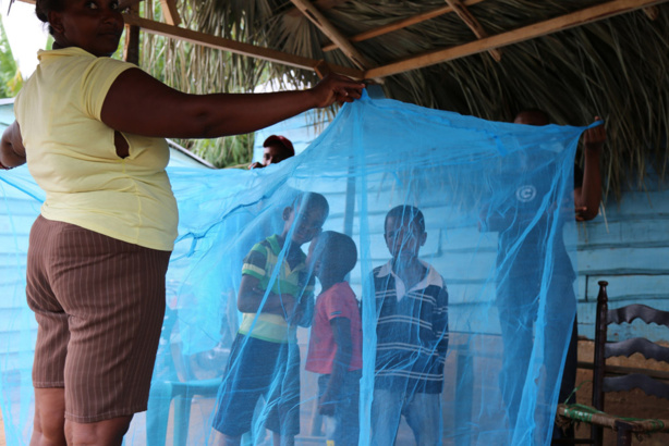 Afrique: Journée contre le paludisme - L'OMS lance une nouvelle stratégie pour éradiquer la maladie
