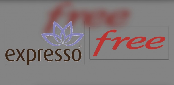 Téléphonie mobile : Free et Expresso perdent des parts de marché au troisième trimestre 2023 Téléphonie mobile : Free et Expresso perdent des parts de marché au troisième trimestre 2023