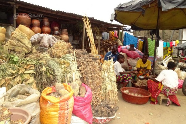 Côte d’Ivoire : Les prix à la consommation augmentent de 0,2% en novembre 2023.