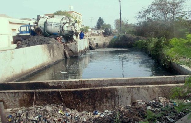 Sénégal : Une mission de sénateurs français pour mesurer les enjeux climatiques Sénégal : Une mission de sénateurs français pour mesurer les enjeux climatiques