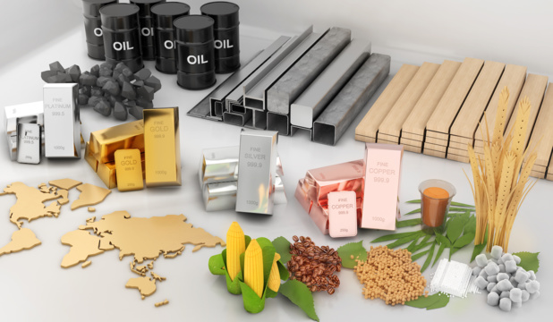 La plupart des matières premières ont vu leurs prix chuter en novembre 2023 (Ansd) La plupart des matières premières ont vu leurs prix chuter en novembre 2023 (Ansd)