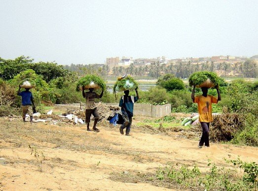 La transformation structurelle de l’économie est la priorité de l’Afrique