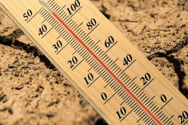 Le monde brûle toujours Le monde brûle toujours