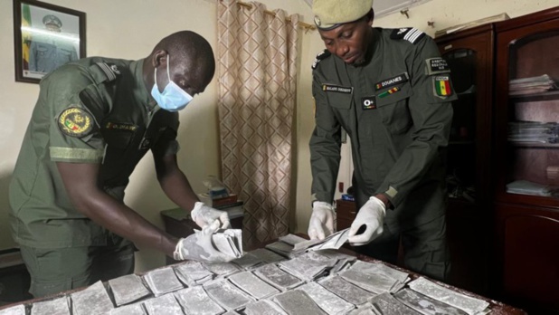 Goudomp : La Douane annonce la saisie de billets noirs d’une contre valeur de 5 milliards  FCfa