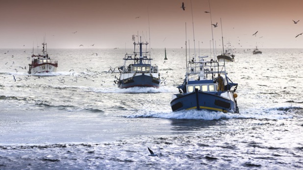 Sénégal- Mauritanie : Le secteur de la pêche reste le cœur battant des échanges entre les 2 pays
