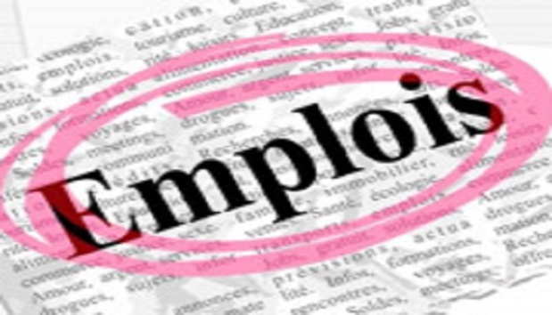 Sénégal : L’emploi salarié du secteur moderne s’est accru de 0,9% en mars 2024 Sénégal : L’emploi salarié du secteur moderne s’est accru de 0,9% en mars 2024