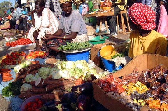Commerce : Baisse de 2% de l’indice du chiffre d’affaires du commerce à fin mai 2015 au Sénégal