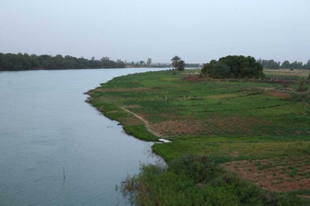 L’OMVS en tête du quotient mondial sur la coopération en ressources en eau L’OMVS en tête du quotient mondial sur la coopération en ressources en eau