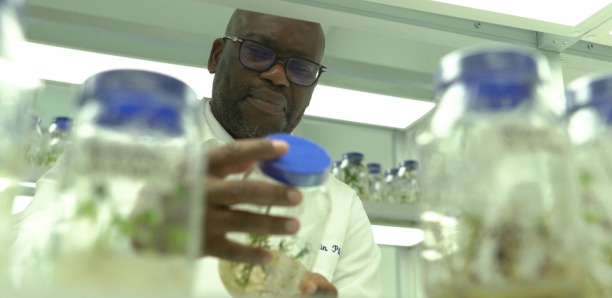 Laboratoire de recherches économiques et monétaires :Le colloque annuel prévu du 20 au 22 novembre prochain à Dakar et Ziguinchor Laboratoire de recherches économiques et monétaires :Le colloque annuel prévu du 20 au 22 novembre prochain à Dakar et Ziguinchor