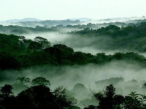 La RD Congo réclamera 21 milliards $ aux pays pollueurs lors de COP 21