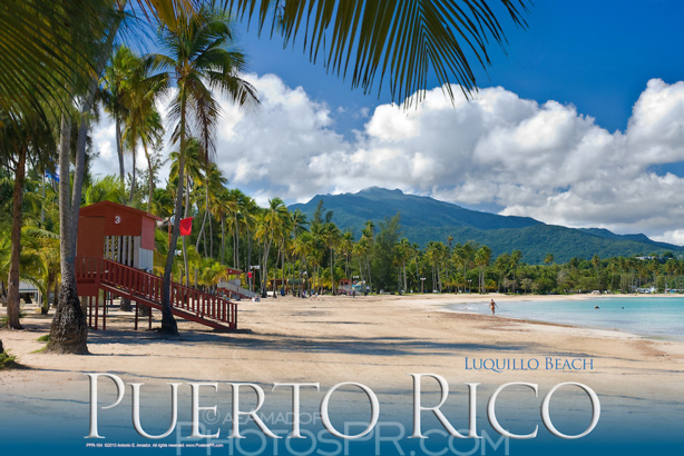 Porto Rico en crise Porto Rico en crise