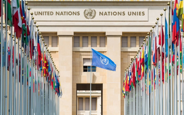 Coopération fiscale internationale : une nouvelle étape franchie à l'ONU Coopération fiscale internationale : une nouvelle étape franchie à l'ONU