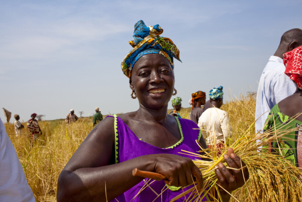 Autonomisation des femmes : L’Afrique de l’ouest fait des progrès