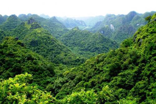 COP 21 : entre 28% et 36% de réduction d’émission de CO2 pour la Côte d’Ivoire d’ici 2030 COP 21 : entre 28% et 36% de réduction d’émission de CO2 pour la Côte d’Ivoire d’ici 2030