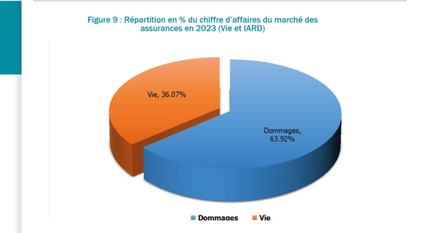 Assurances : Le marché sénégalais reste dominé par la branche IARD avec 63,92% des primes émises en 2023 Assurances : Le marché sénégalais reste dominé par la branche IARD avec 63,92% des primes émises en 2023