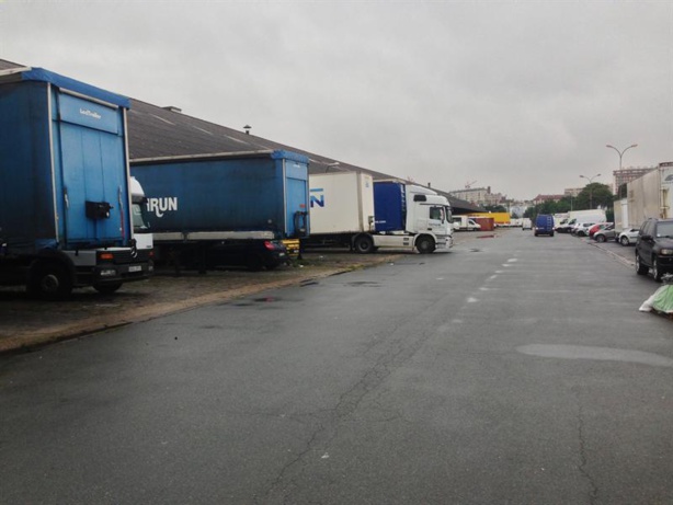 Sénégal : Le projet de renouvellement des gros porteurs devrait générer 5000 emplois directs Sénégal : Le projet de renouvellement des gros porteurs devrait générer 5000 emplois directs