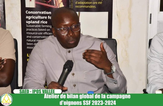 SENEGAL - Approvisionnement correct du marché de l’oignon : Le directeur de l’Arm souligne l’importance de stratégies de stockages et de conservation SENEGAL - Approvisionnement correct du marché de l’oignon : Le directeur de l’Arm souligne l’importance de stratégies de stockages et de conservation