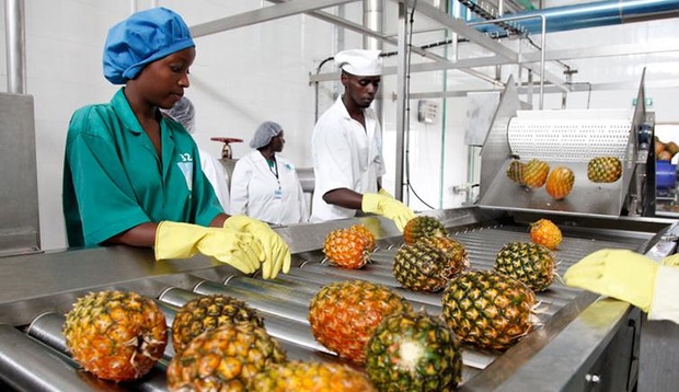 Sénégal : La production industrielle baisse de 1,1% en glissement annuel Sénégal : La production industrielle baisse de 1,1% en glissement annuel