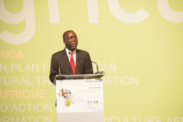 Conférence sur l’agriculture : La RDC appelle à une révolution agricole structurée autour de 3 axes Conférence sur l’agriculture : La RDC appelle à une révolution agricole structurée autour de 3 axes