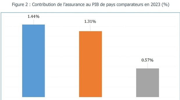 Sénégal : La courbe de la pénétration de l’assurance en 2023 perd de l’altitude mais reste plus élevée par rapport à des pays comparateurs de l’UEMOA Sénégal : La courbe de la pénétration de l’assurance en 2023 perd de l’altitude mais reste plus élevée par rapport à des pays comparateurs de l’UEMOA
