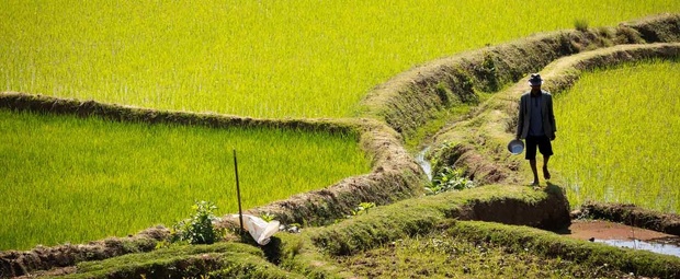 Soutien au financement de projets verts et sociaux au Togo : Le Fonds africain de développement accorde une garantie partielle de crédit de 200 millions d’euro Soutien au financement de projets verts et sociaux au Togo : Le Fonds africain de développement accorde une garantie partielle de crédit de 200 millions d’euro