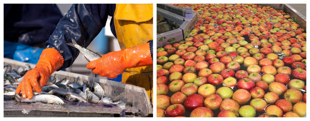 Activité économique interne hors agriculture et sylviculture : Un renforcement de 5,5% enregistré au 3e trimestre 2024 Activité économique interne hors agriculture et sylviculture : Un renforcement de 5,5% enregistré au 3e trimestre 2024