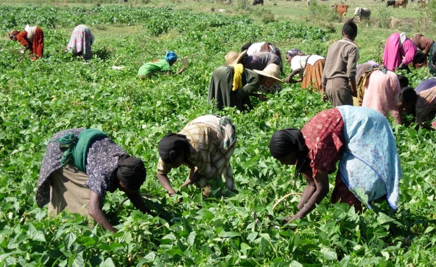 ECONOMIE SOCIALE ET SOLIDAIRE : Un levier de développement et de lutte contre le chômage au Sénégal. ECONOMIE SOCIALE ET SOLIDAIRE : Un levier de développement et de lutte contre le chômage au Sénégal.