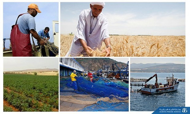 Zone Uemoa : Accroissement de 6,9% de la valeur ajoutée du secteur primaire au 3e trimestre 2024 Zone Uemoa : Accroissement de 6,9% de la valeur ajoutée du secteur primaire au 3e trimestre 2024