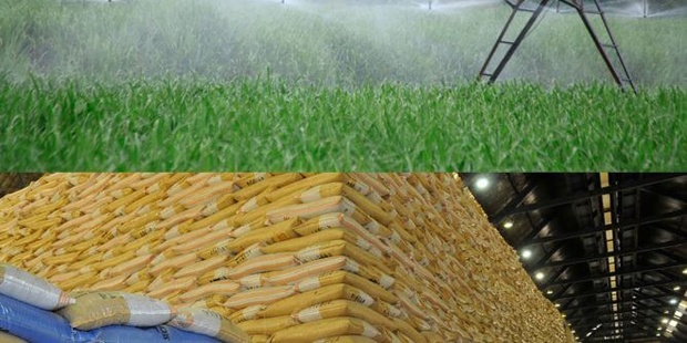 BRVM : Le titre Sucrivoire Côte d’Ivoire réalise la meilleure performance du marché des actions avec une hausse de 4,48% de son cours. BRVM : Le titre Sucrivoire Côte d’Ivoire réalise la meilleure performance du marché des actions avec une hausse de 4,48% de son cours.