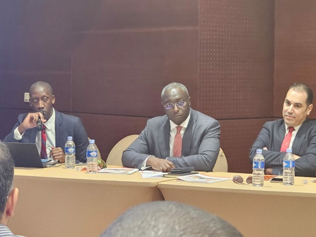 Levée de fonds sur le marché financier régional:  Nourmony Holding cherche 20 milliards de FCFA Levée de fonds sur le marché financier régional:  Nourmony Holding cherche 20 milliards de FCFA