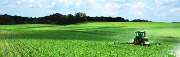 L'Afrique négocie une nouvelle phase de l'industrialisation verte L'Afrique négocie une nouvelle phase de l'industrialisation verte