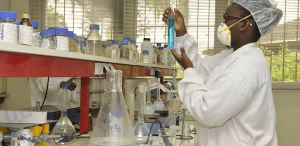 Sénégal : Hausse de chiffre d’affaires dans le commerce et les services Sénégal : Hausse de chiffre d’affaires dans le commerce et les services