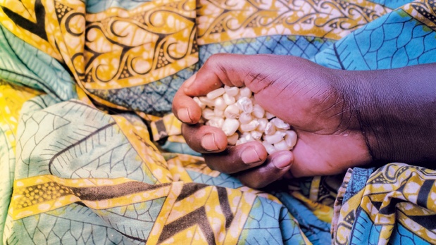 Transformation des systèmes alimentaires : Le Fida met en exergue l’apport des banques publiques de développement Transformation des systèmes alimentaires : Le Fida met en exergue l’apport des banques publiques de développement